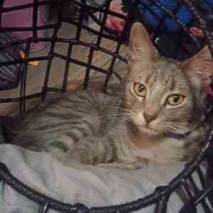 Meet your Posher, Kara